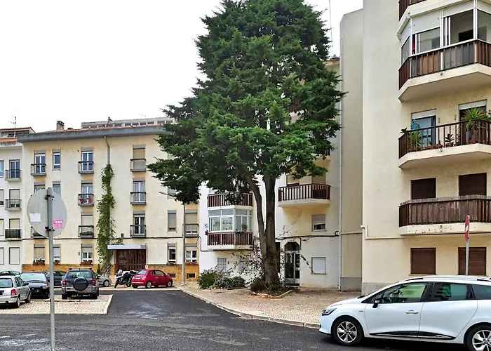 Outdoor Patio Newly Renovated Daire